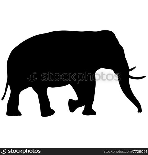 Silhouette large African elephant on a white background.. Silhouette large African elephant on a white background