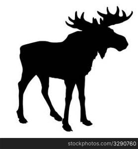 silhouette moose on white background