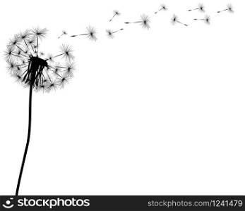 Silhouette of a dandelion on a white background. Silhouette of a dandelion