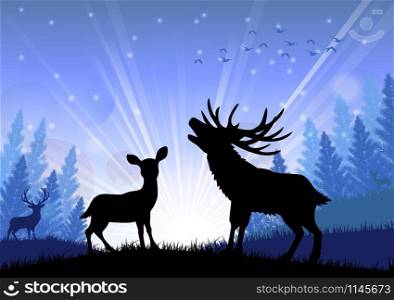 Silhouette of a deer and kangaroo standing on the time of morning