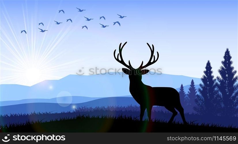 Silhouette of a deer standing on the time of morning