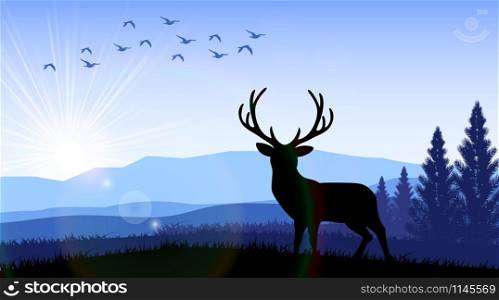 Silhouette of a deer standing on the time of morning