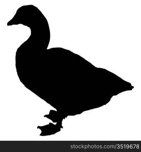 Silhouette of a goose