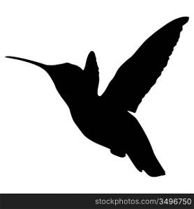 Silhouette of a hummingbird