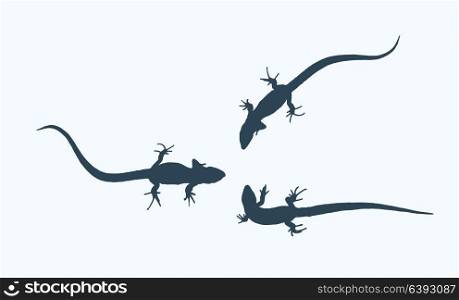 Silhouette of a lizard that creeps. Isolated Vector Illustration. EPS10. Silhouette of a lizard that creeps. Vector Illustration.