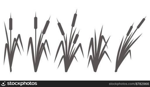 Silhouette of a reed in the green grass. Sw&and river plants. Cattail isolated on white background. Vector flat illustration.. Silhouette of a reed in the grass. Sw&and river plants. Cattail isolated on white background. Vector flat illustration