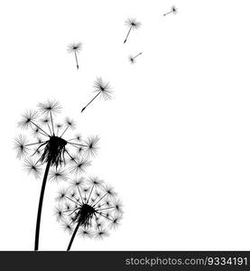 Silhouette of a simple single dandelion . 