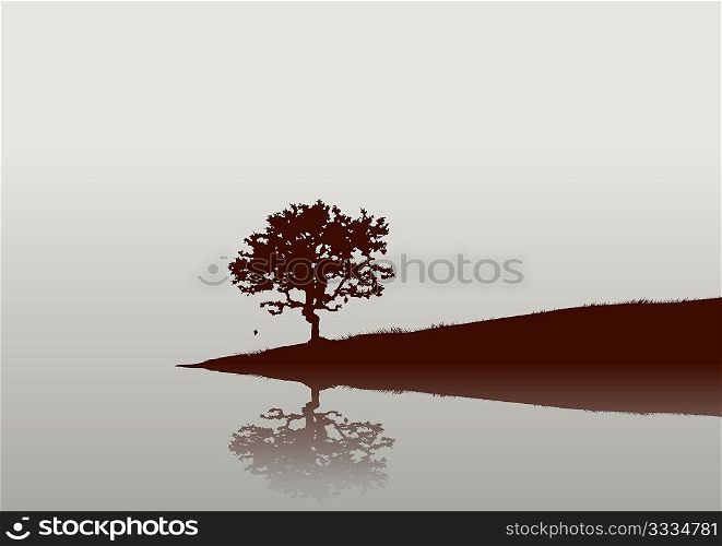 Silhouette of a tree and Reflections on the water.