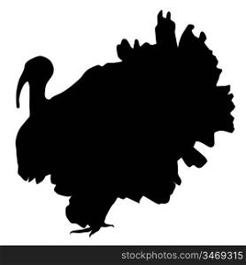 Silhouette of a turkey
