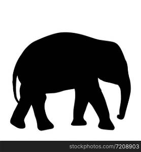 Silhouette of an African baby elephant on a white background.. Silhouette of an African baby elephant on a white background
