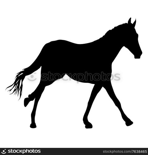 Silhouette of black mustang horse on white background.. Silhouette of black mustang horse on white background