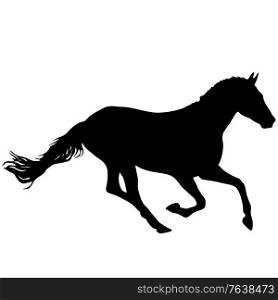 Silhouette of black mustang horse on white background.. Silhouette of black mustang horse on white background