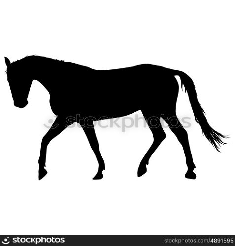 silhouette of black mustang horse vector illustration. silhouette of black mustang horse vector illustration.