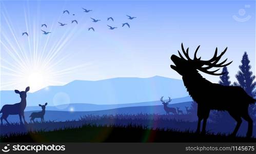 Silhouette of deer and kangaroo standing on the time of morning