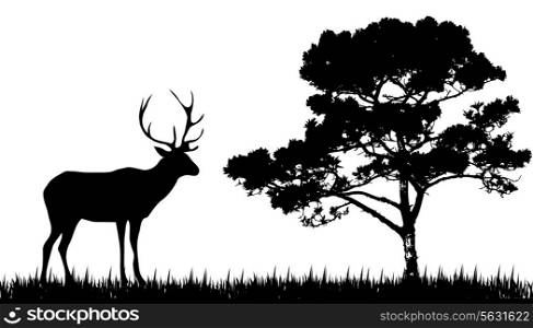 silhouette of deer and tree. Vector illustration. EPS 10.