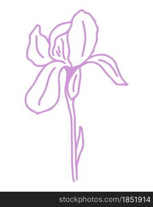 Silhouette of delicate purple iris flower, vector. An illustration of an elegant garden flower. Outline beautiful botanical element. Modern trendy flower contour.. Silhouette of delicate purple iris flower, vector.