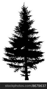 Silhouette of fir tree. Detailed silhouette  for making different designs of fir forest, christmas and new years theme. Vector illustration.