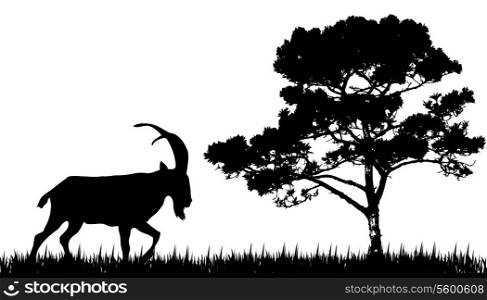silhouette of goat and tree