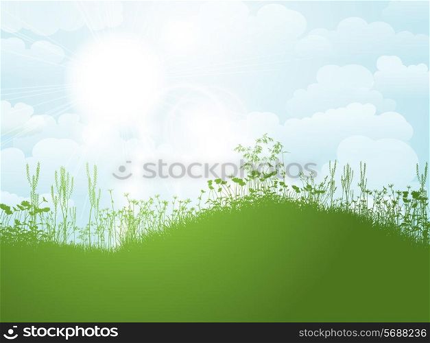 Silhouette of grass and flowers against a sunny summer sky