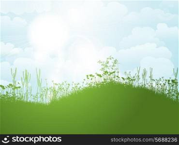 Silhouette of grass and flowers against a sunny summer sky