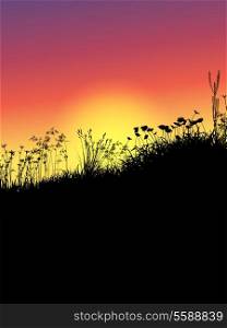 Silhouette of grass and flowers against a sunset sky