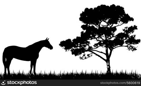 silhouette of horse and tree