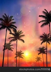 Silhouette of palm tree on sunset background
