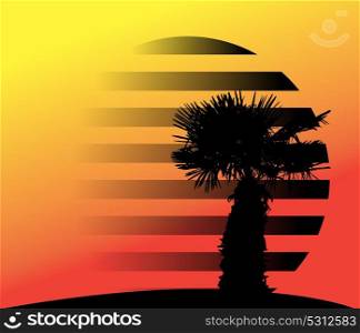 Silhouette of Palm Trees. Vector Illustration. EPS10. Silhouette of Palm Trees. Vector Illustration.