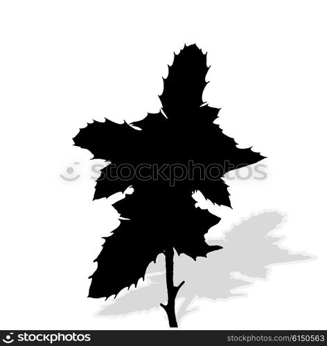 Silhouette of Plants. Vector Ilustration. EPS10. Silhouette of Plants. Vector Ilustration.