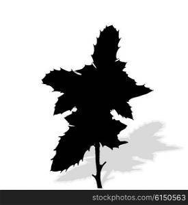 Silhouette of Plants. Vector Ilustration. EPS10. Silhouette of Plants. Vector Ilustration.