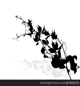 Silhouette of Plants. Vector Ilustration.. Silhouette of Plants. Vector Ilustration. EPS10