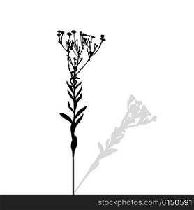 Silhouette of Plants. Vector Ilustration.. Silhouette of Plants. Vector Ilustration. EPS10