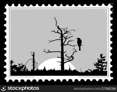 silhouette of the bird on tree on postage stamps, vector illustration
