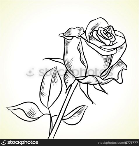 Silhouette of the black rose on a white background.. Silhouette of the black rose on a white background