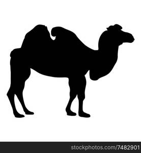 Silhouette of the camel on a white background.. Silhouette of the camel on a white background