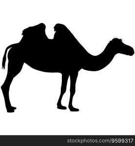 Silhouette of the camel on a white background.. Silhouette of the camel on a white background