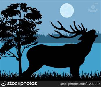 Silhouette of the deer on background of the wild nature. Silhouette of the deer
