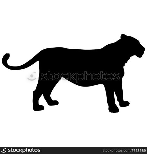 Silhouette of the lioness on a white background.. Silhouette of the lioness on a white background