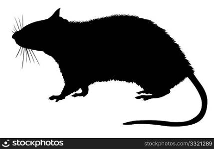 silhouette of the rat on white background