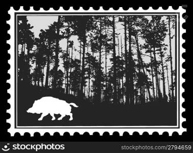 silhouette of the wild boar in wood on postage stamps, vector illustration