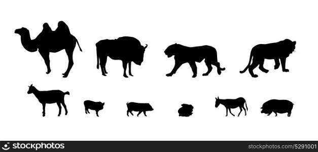 Silhouette of Wild and Domestic Animals. Black and White. Vector Illustration.. Silhouette of Wild and Domestic Animals. Black and White