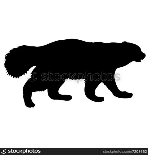 Silhouette of Wolverine on a white background.. Silhouette of Wolverine on a white background