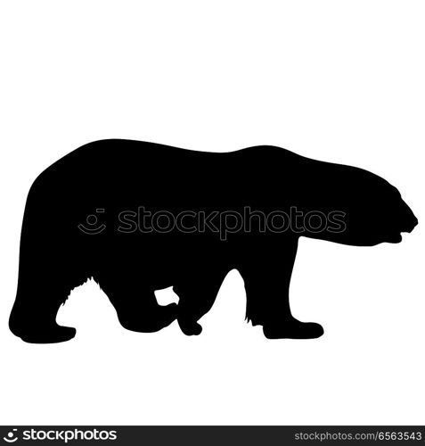 Silhouette polar bear on a white background.. Silhouette polar bear on a white background