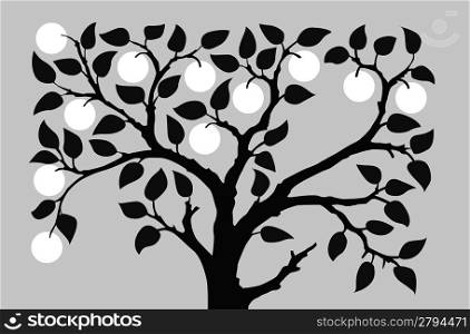 silhouette to aple trees on gray background, vector illustration