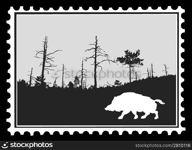 silhouette wild boar on postage stamps, vector illustration