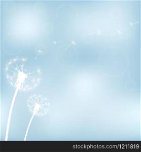 silhouette with flying dandelion buds on a white background. silhouette with flying dandelion buds