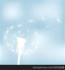 silhouette with flying dandelion buds on a white background. silhouette with flying dandelion buds