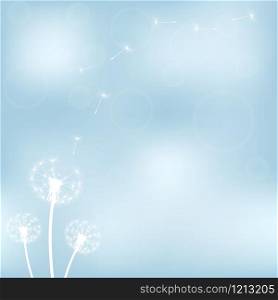 silhouette with flying dandelion buds vector illustration. silhouette with flying dandelion buds