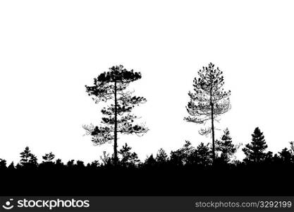 silhouette wood on white background