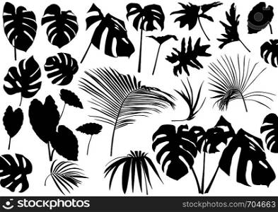 Silhouetted Tropical Leaves Set